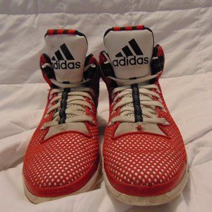 Derrick Rose 6 Boost